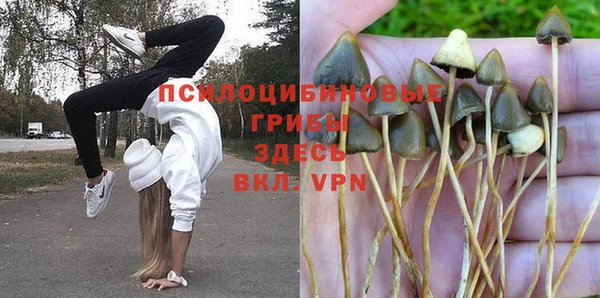мескалин Алексин