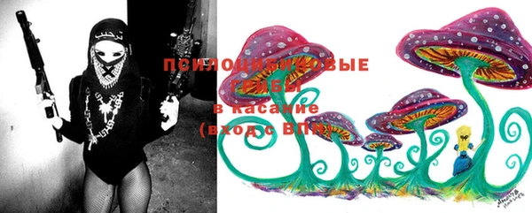 MESCALINE Алзамай